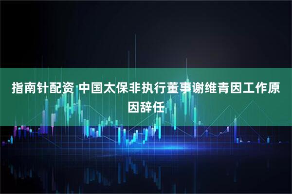 指南针配资 中国太保非执行董事谢维青因工作原因辞任